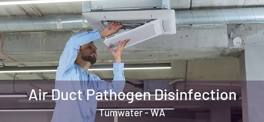  Air Duct Pathogen Disinfection Tumwater - WA