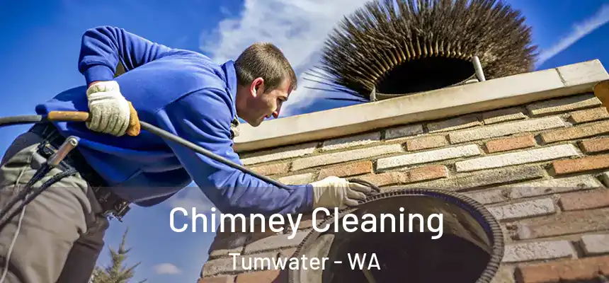 Chimney Cleaning Tumwater - WA