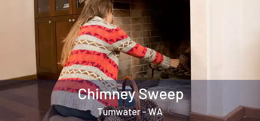  Chimney Sweep Tumwater - WA