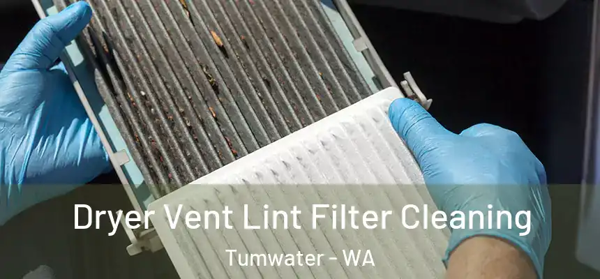  Dryer Vent Lint Filter Cleaning Tumwater - WA
