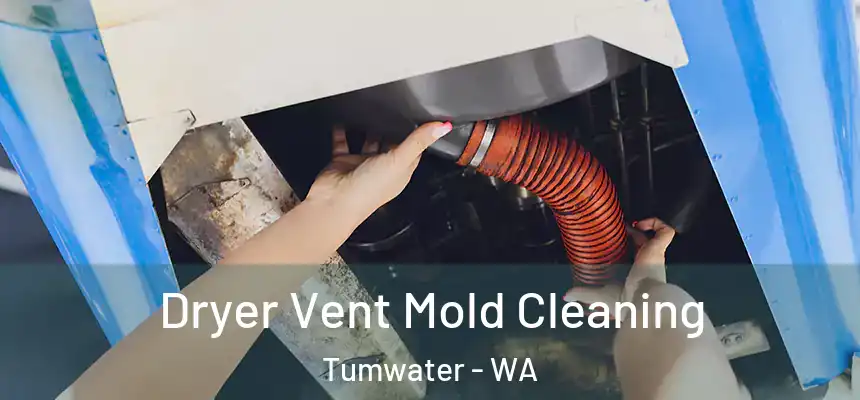  Dryer Vent Mold Cleaning Tumwater - WA
