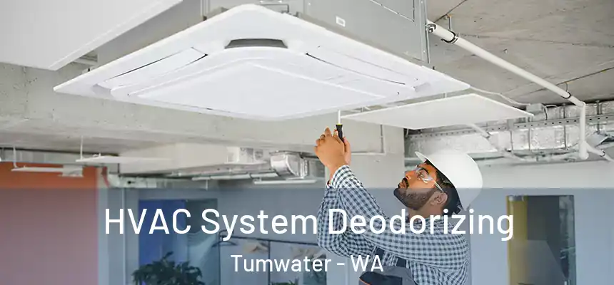  HVAC System Deodorizing Tumwater - WA
