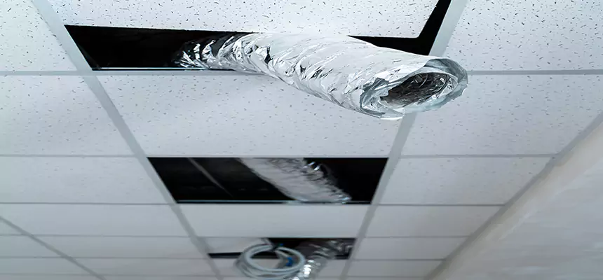 Affordable HVAC Sanitizing After Pest Removal in Tumwater