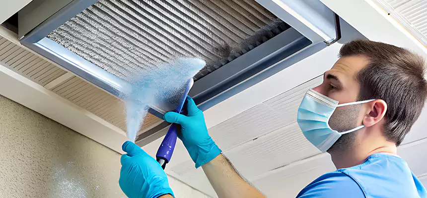 Proactive Dryer Vent & Auxiliary Duct Pollen Cleanup in Tumwater, WA