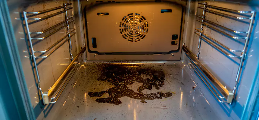 Our Dryer Vent Mold Cleaning Services in Tumwater, WA