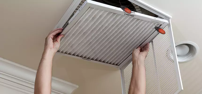 Our Insect Removal from Air Ducts Services in Tumwater, WA