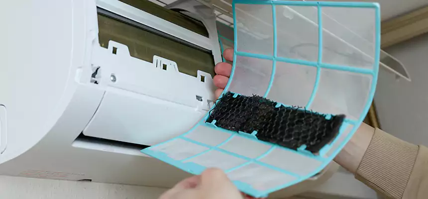 Gentle Ductwork Odor-Control Pet Dander Duct Cleaning in Tumwater, WA