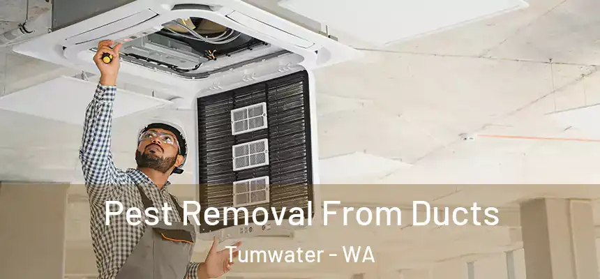  Pest Removal From Ducts Tumwater - WA