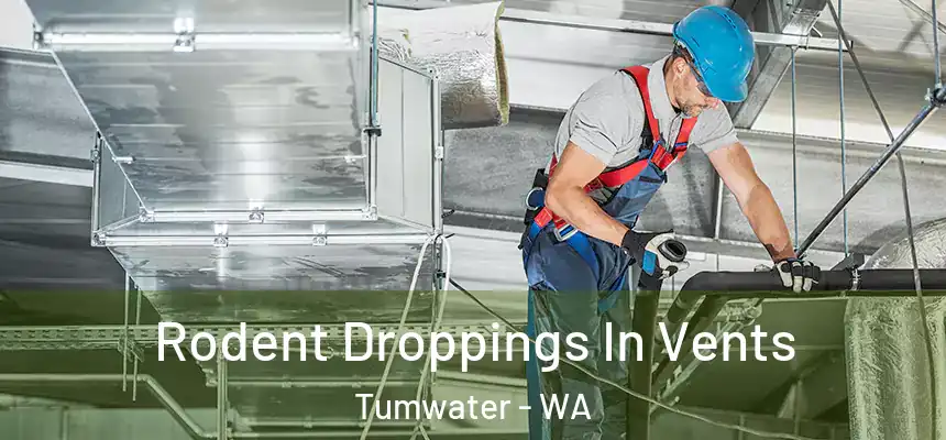  Rodent Droppings In Vents Tumwater - WA