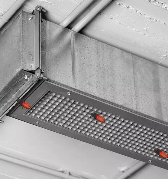 About Air Duct Cockroach Removal in Tumwater, WA
