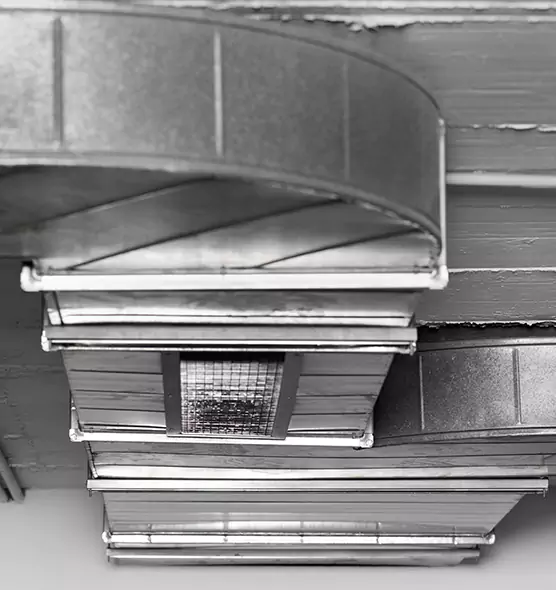 Professional Air Duct Pet Hair Removal in Tumwater, WA