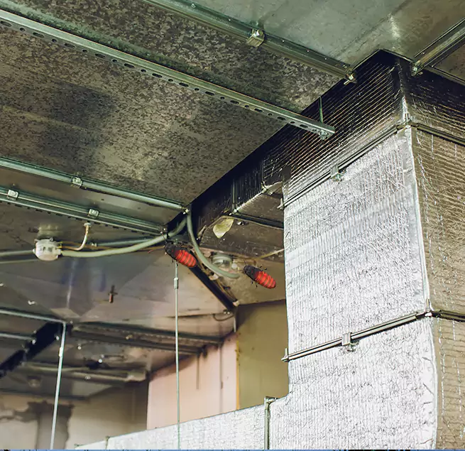 Why Homeowners & Businesses Trust Us in Tumwater, WA?