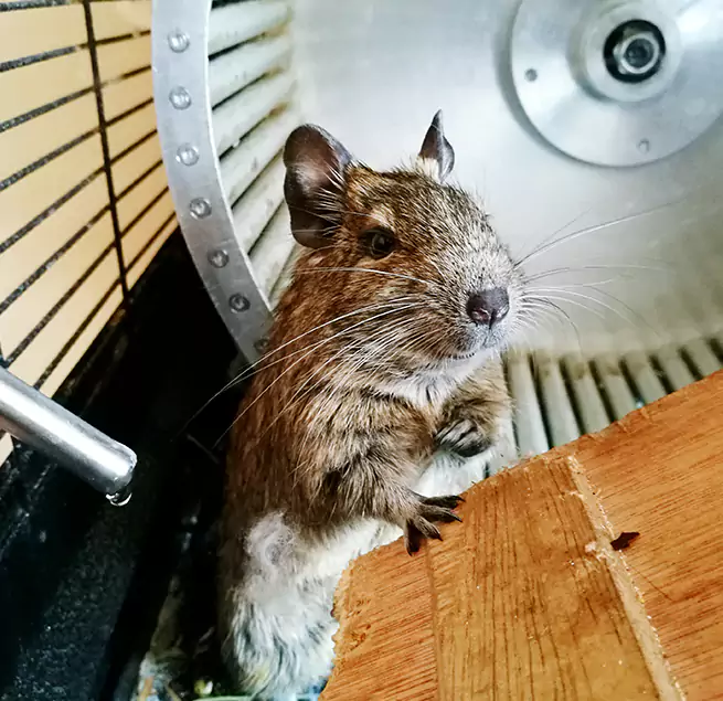 Why Homeowners & Businesses Trust Us Tumwater, WA?