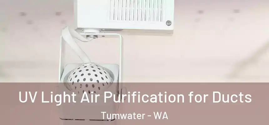  UV Light Air Purification for Ducts Tumwater - WA